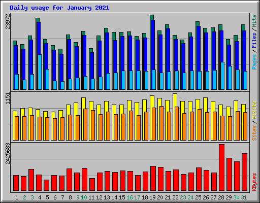 Daily usage for January 2021