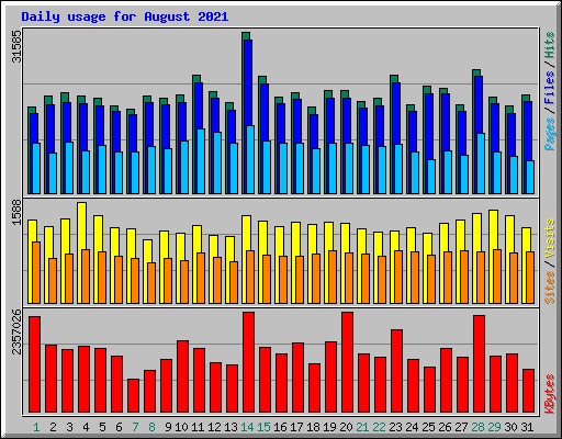 Daily usage for August 2021