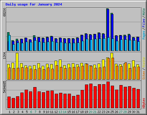 Daily usage for January 2024