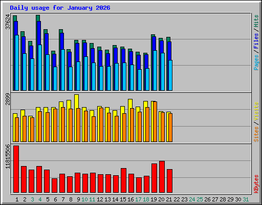 Daily usage for January 2026