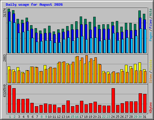 Daily usage for August 2026