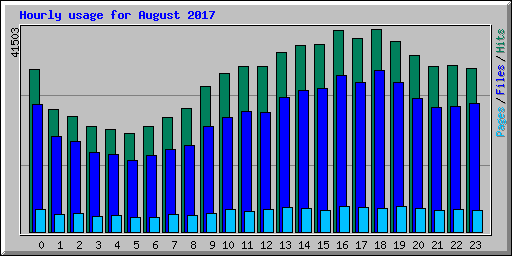 Hourly usage for August 2017
