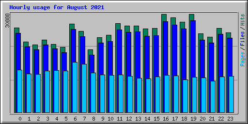 Hourly usage for August 2021