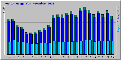 Hourly usage for November 2021