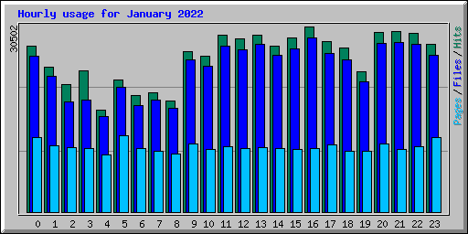 Hourly usage for January 2022