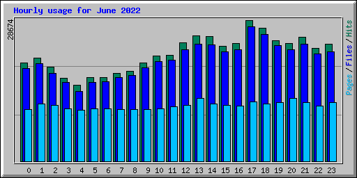 Hourly usage for June 2022