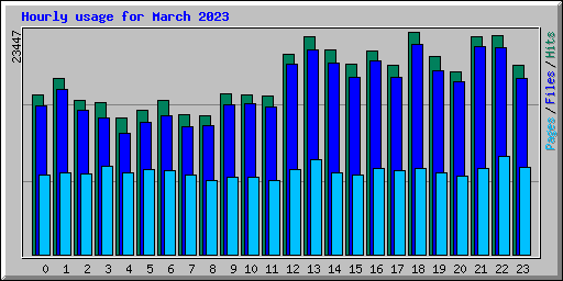 Hourly usage for March 2023