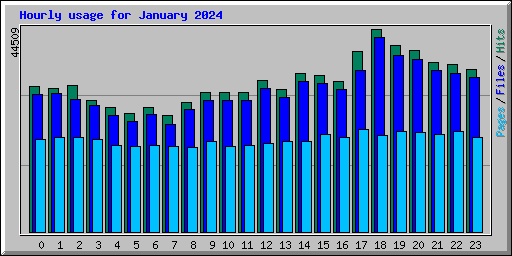 Hourly usage for January 2024