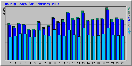 Hourly usage for February 2024