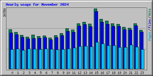 Hourly usage for November 2024