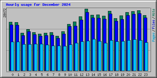 Hourly usage for December 2024