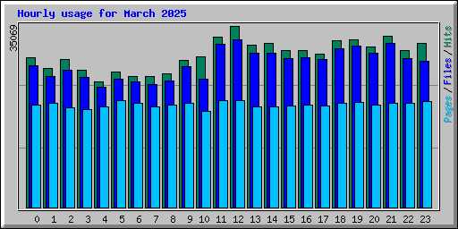 Hourly usage for March 2025