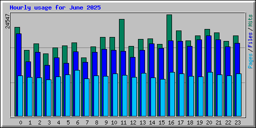 Hourly usage for June 2025