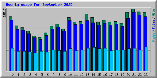 Hourly usage for September 2025