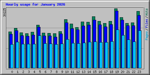 Hourly usage for January 2026