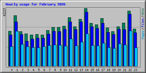 Hourly usage for February 2026