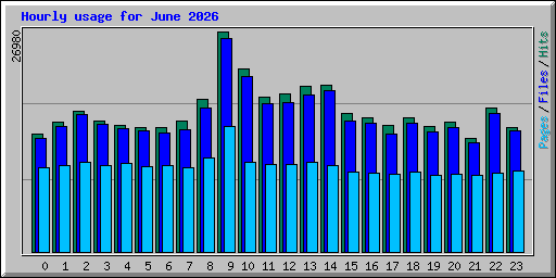 Hourly usage for June 2026
