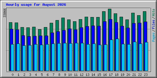 Hourly usage for August 2026
